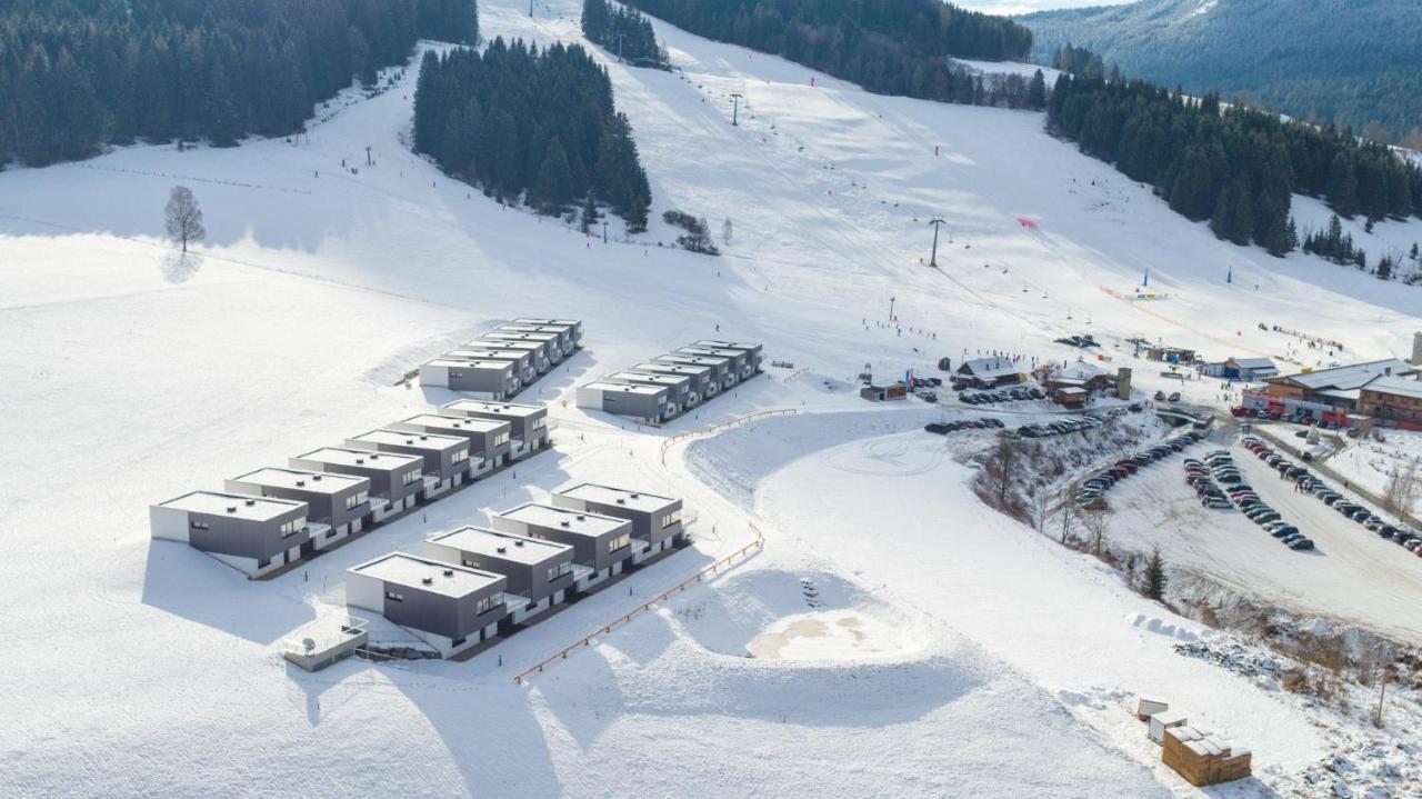 Naturpark Chalets Lambrecht By Alps Resorts ザンクト・ランブレヒット エクステリア 写真