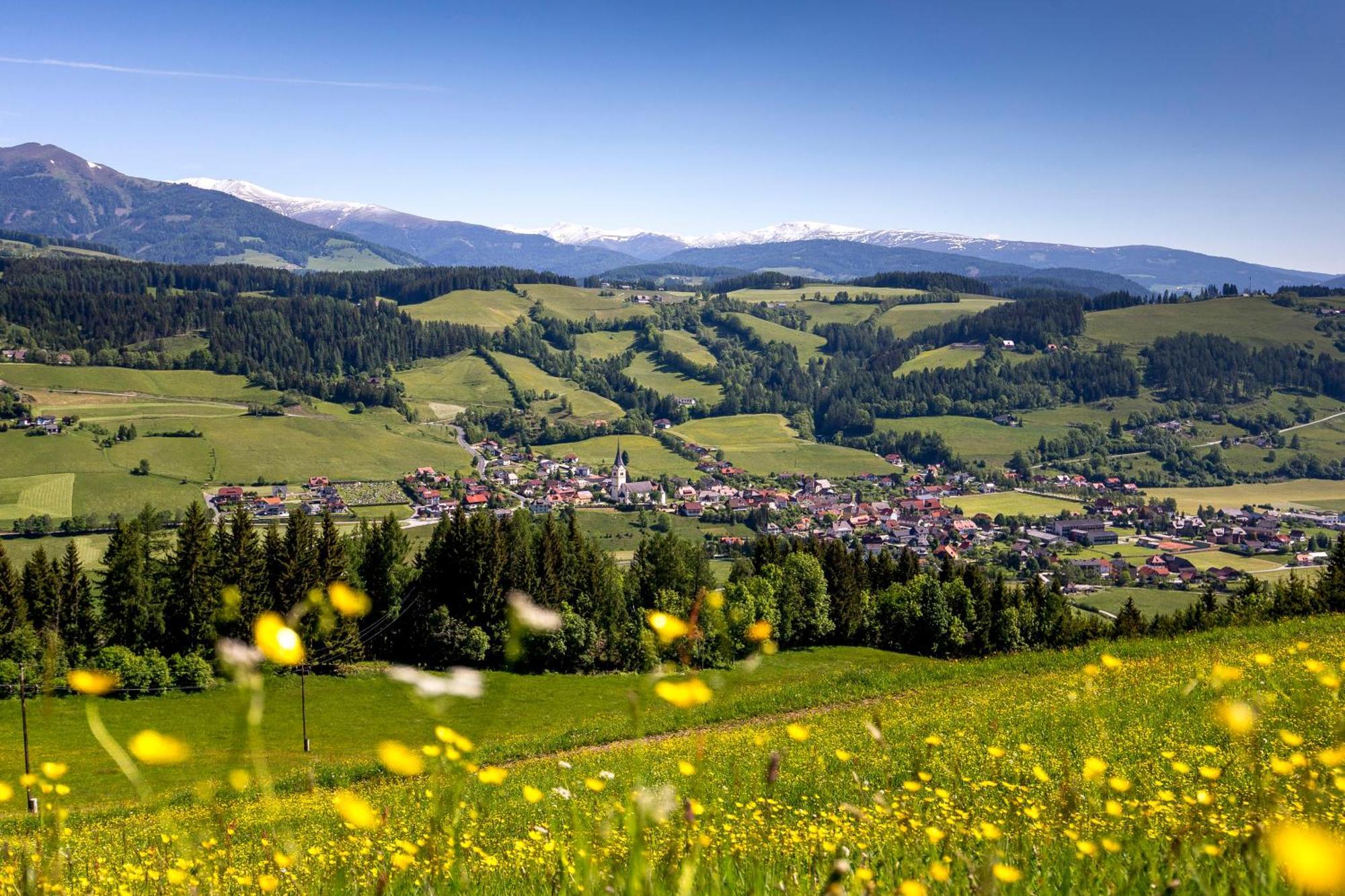 Naturpark Chalets Lambrecht By Alps Resorts ザンクト・ランブレヒット エクステリア 写真