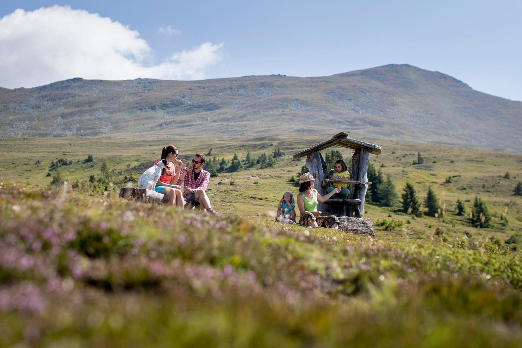 Naturpark Chalets Lambrecht By Alps Resorts ザンクト・ランブレヒット エクステリア 写真